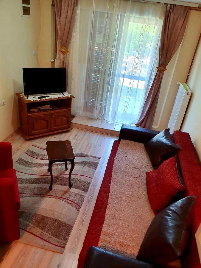 Apartman Sergej 2 Apartment Soko Banja Bagian luar foto